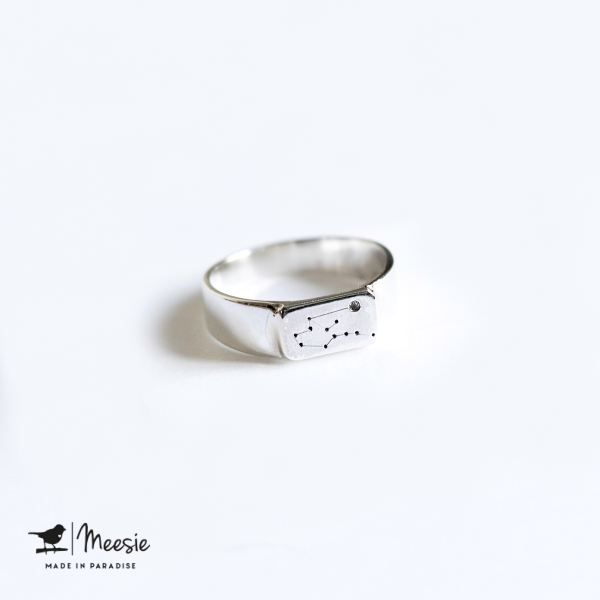 Ring Sterrenbeeld Waterman zilver Ring Sterrenbeeld Waterman zilver